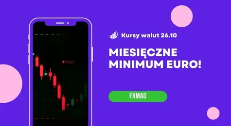 Kursy walut 26.10.: euro leci na łeb, złotówka na fali! Zobacz, ile za jednego rubla (RUB), funta (GBP), franka (CHF), forinta (HUF), jena (JPY), euro (EUR), koronę (NOK), dolara (USD) | FXMAG INWESTOR