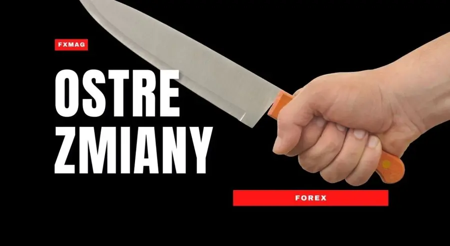 Kursy walut: koszmar powraca?! Złotówka znowu zaskoczy Polaków? Sprawdź, co dalej: EUR/PLN, EUR/USD, USD/PLN na rynku Forex | FXMAG INWESTOR