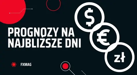 Kursy walut szokują! Euro poszybowało w dół, dolar potężnie w górę, złoty zaskakuje! Kursy EUR/PLN, USD/PLN, EUR/USD – prognozy na najbliższe dni | FXMAG INWESTOR