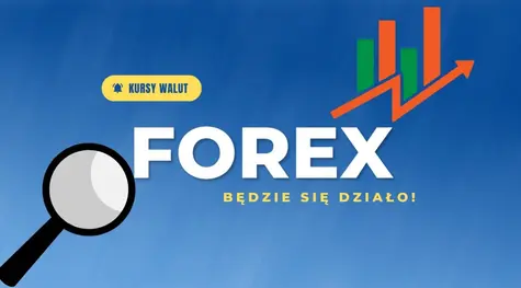 Kursy walut: szykują się mocne zmiany na rynku FOREX? Będzie się działo: kursy euro (EUR), dolara (USD), franka (CHF), funta (GBP), złotego (PLN) | FXMAG INWESTOR