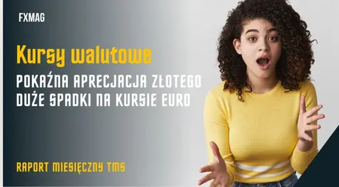 Kursy walutowe: pokaźna aprecjacja złotego - duże spadki na kursie euro (EUR/PLN), jeszcze większe zniżki na dolarze (USD/PLN). Raport miesięczny TMS (waluty, surowce, indeksy)