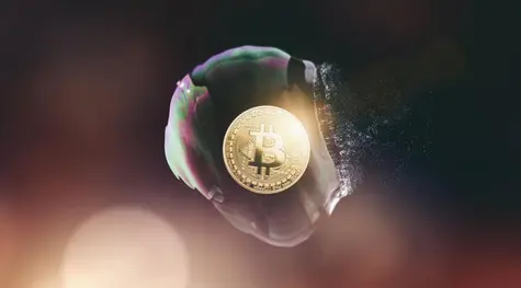 Letnie zmagania Bitcoina (BTC) wciąż trwają. Ponowne uruchomienie Shibarium przekroczyło 100 000 portfeli | FXMAG INWESTOR