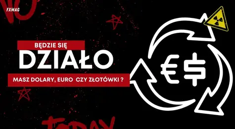 Masz dolary (USD), euro (EUR) czy złotówki (PLN)? Będzie się działo, szykują się ostre zmiany na rynku FOREX! Kursy walutowe, nie daj się zaskoczyć | FXMAG INWESTOR