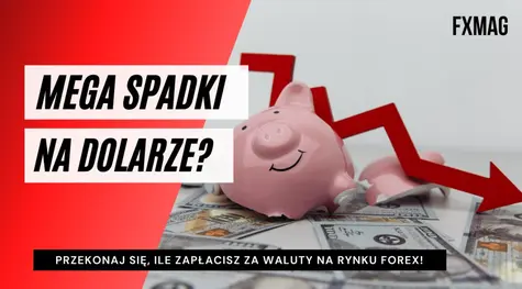 Spadki na dolarze? Zerknij na przewidywania analityków dla kursu dolara (USDPLN), euro (EURPLN) oraz eurodolara (EURUSD) i przekonaj się, ile zapłacisz za waluty na rynku FOREX!