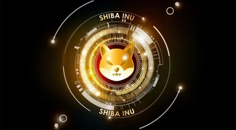 Meme coiny, czyli czym jest shiba Inu. Jak działa ekosystem SHIB i dlaczego jest tak popularny? Zobacz, jak kupić SHIB