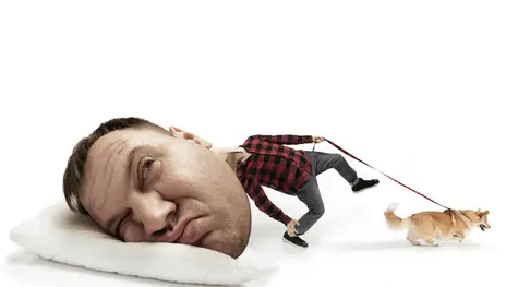Meme stocks, z firmami takimi jak AMC Entertainment i GameStop na czele, znów dają o sobie znać! | FXMAG INWESTOR