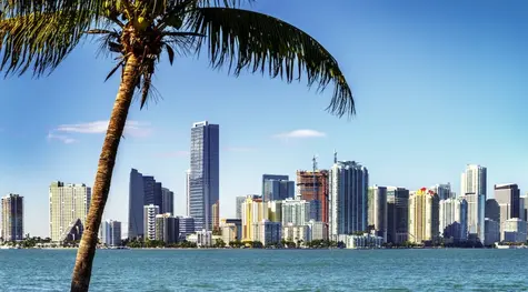 Miami chce być największym orędownikiem kryptowalut w USA. Wypłacanie pensji pracownikom w krypto? Nawet i możliwość płatności podatków lokalnych w bitcoinie!