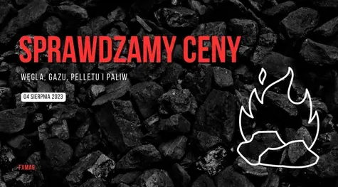 Potężny wzrost cen węgla! Zobacz, ile teraz kosztuje jedna tona! Sprawdzamy ceny paliw, gazu, węgla i pelletu przed weekendem (04.08.2023)