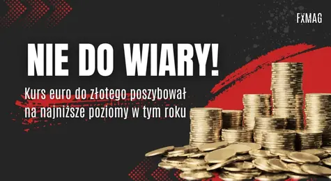 Nie do wiary! Kurs euro (EUR) do złotego (PLN) poszybował na najniższe poziomy w tym roku! A to nie koniec spadków… | FXMAG INWESTOR