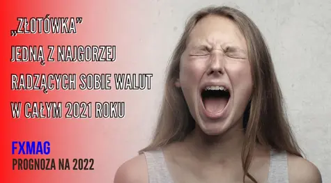Ogromne zmiany na rynku walutowym: kurs euro nokautuje polskiego złotego! „Złotówka" jedną z najgorzej radzących sobie walut w całym 2021 roku. Prognostyk na 2022 - czy EURPLN poszybuje w dół? - sprawdź | FXMAG INWESTOR