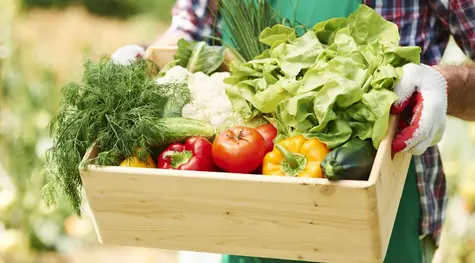 Owoce i warzywa - wyższe zbiory, choć słabszej jakości. O ile wzrosną ceny owoców i warzyw w 2022 roku? | FXMAG INWESTOR