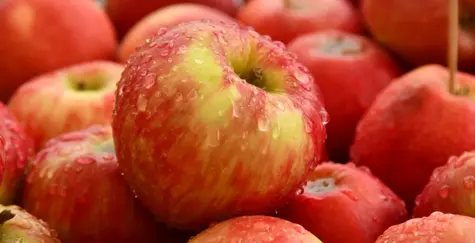 Cena jabłek i cytryn: owoce znowu mocno podrożały. Najbardziej widać to po jabłkach i cytrynach | FXMAG INWESTOR
