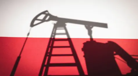 Polski przemysł traci odporność na spowolnienie w kraju i za granicą. Styczniowe nastroje | FXMAG INWESTOR
