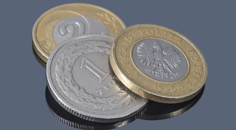 Polski złoty mocno zyskuje na wartości - mimo deklaracji prezesa NBP o braku potrzeby podwyżek stóp procentowych! Co czeka PLNa? | FXMAG INWESTOR
