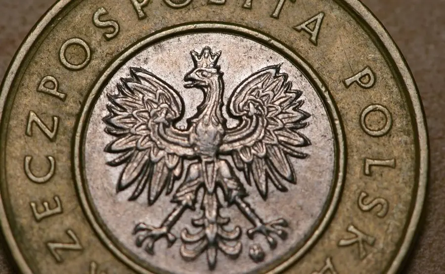 Polski złoty zyskuje. Ile zapłacimy za euro, dolara, franka i funta na rynku Forex? Kursy walut 7 września | FXMAG INWESTOR
