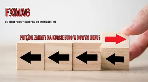 Potężne zmiany na kursie euro w nowym roku? Niedowartościowany EUR versus bezpieczna japońska przystań (JPY)! Walutowa propozycja na 2022 okiem analityka - zobacz | FXMAG INWESTOR