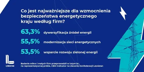 Raport Lewiatana: Spóźniona reakcja na kryzys energetyczny | FXMAG INWESTOR
