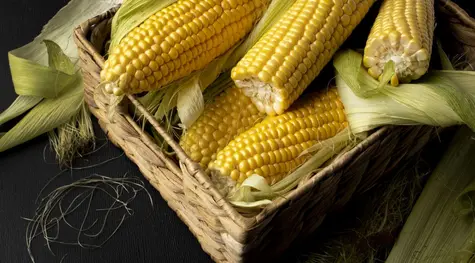 Rynek kukurydzy zaskakuje! Cena CORN zyskuje - zobacz analizę wykresu | FXMAG INWESTOR