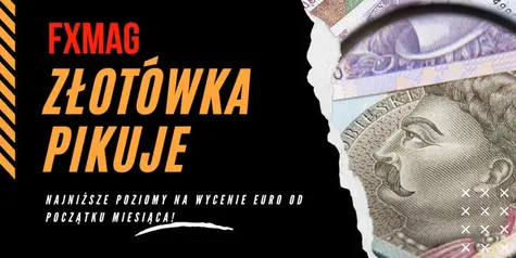 Silny dolar (USD) i brak porozumienia wokół KPO. Efekt? Narodowa waluta pikuje - najniższe poziomy na wycenie euro (EUR/PLN) od początku miesiąca! | FXMAG INWESTOR