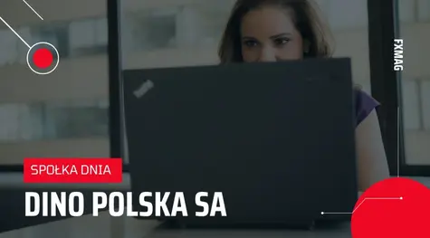 Spółka dnia: Akcje Dino Polska w górę. Spółka otworzyła 344 sklepy w 2022 roku | FXMAG INWESTOR