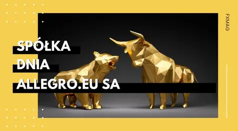 Spółka dnia - Liczba użytkowników allegro.pl i aplikacji Allegro spadła we IX do 21,2 mln z 21,9 mln w VIII | FXMAG INWESTOR