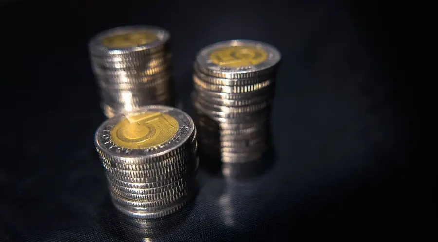 Sprawdzamy jak reaguje kurs dolara, euro, franka i funta w dniu publikacji wskaźnika CPI w Polsce | FXMAG INWESTOR