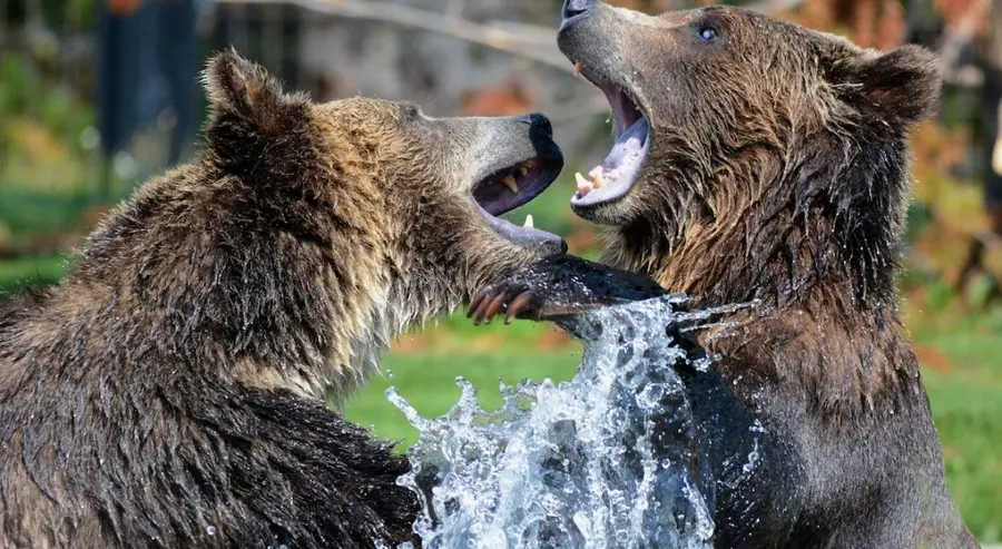 Awersja do ryzyka napędza dolara amerykańskiego. Niedźwiedzie EUR/USD już atakują 1,0500$ | FXMAG INWESTOR