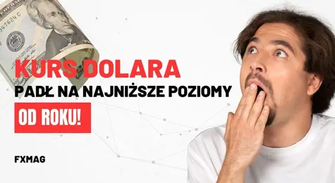 Szok na walutach! Kurs dolara (USD) padł na najniższe poziomy od roku! Przed euro (EUR) spore problemy - paliwo się kończy | FXMAG INWESTOR
