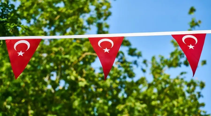 Waluty regionu emerging markets: turecka lira znów na świeczniku - notowania TRY silnie tracą, solidne umocnienie węgierskiego forinta (HUF) | FXMAG INWESTOR