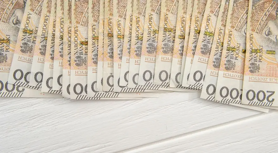 Wypowiedź jednego z członków Rady Polityki Pieniężnej skutkuje odbiciem na notowaniach złotego. Kurs euro do franka (EUR/CHF) zalicza piątą sesję wzrostową z rzędu | FXMAG INWESTOR