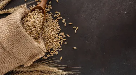 Ceny pszenicy biją największe poziomy w historii: czy to się jeszcze w ogóle opłaca? Sprawdź perspektywy dla rynku zbóż na nadchodzący rok | FXMAG INWESTOR