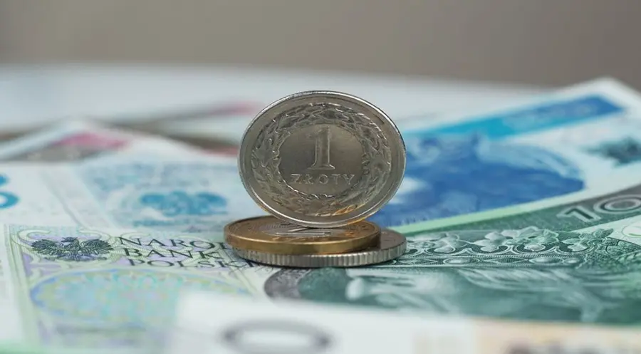 Złoty (PLN) pod presją decyzji RPP. Wysoka inflacja wciąż niepokoi inwestorów - komentarz eksperta | FXMAG INWESTOR