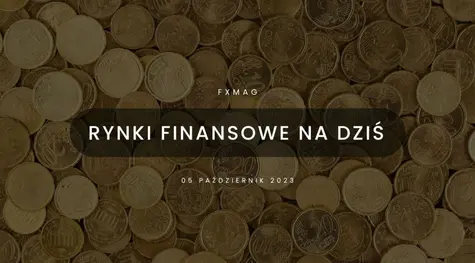 Złoty (PLN) przez chwilę poczuł siłę. Eurodolar (EUR/USD) nie utrzymał długo zwyżki | FXMAG INWESTOR
