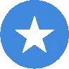 Icon of SOS
