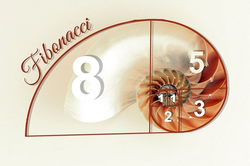 Co to są pozimy Fibonacciego | FXMAG INWESTOR