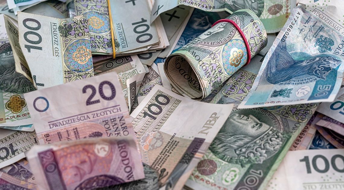 Czy kupować już euro (EUR) i dolary (USD)? Prognozy dla kursu złotego (PLN) po posiedzeniu RPP, EBC i Fed. Czy polska waluta pozostanie silna? | FXMAG INWESTOR