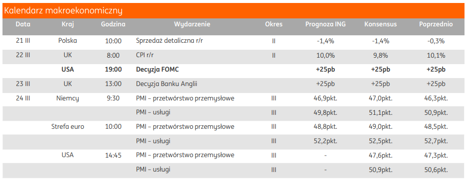 Tygodnik Ing Decyzja Fomc Na Pierwszym Planie Nieustraszony Jak Ebc Fxmag Inwestor 5444